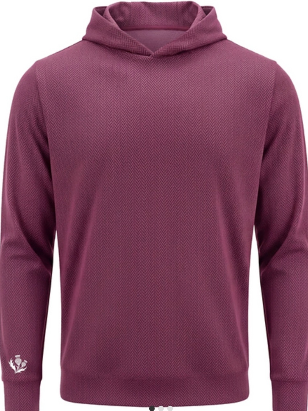 Ethan Hoodie - sport Fit MEDIUM